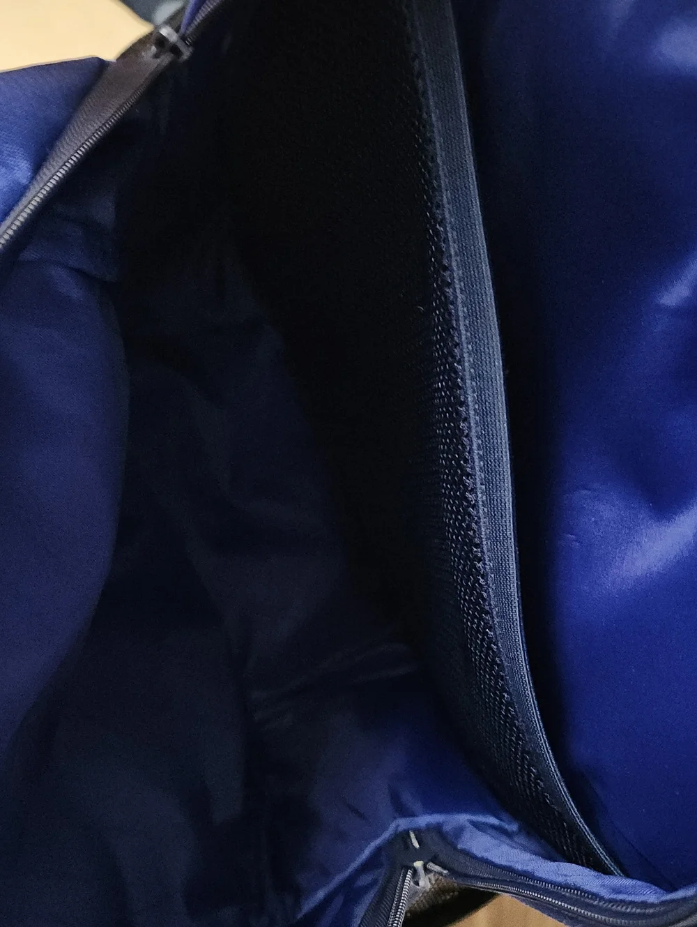 Champion Blue and Navy Men's Backpack with White Accents